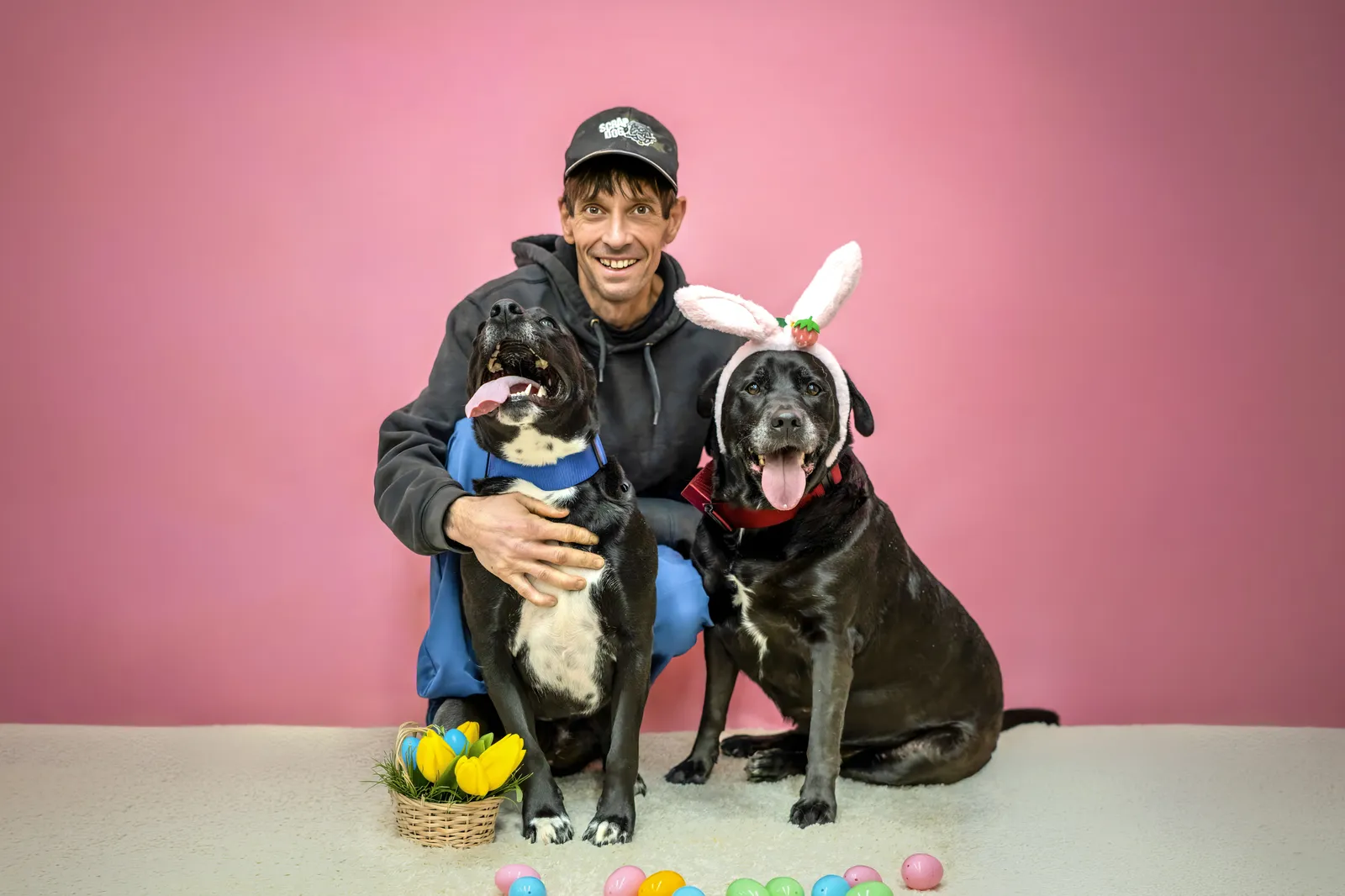 Pet Portraits thumbnail